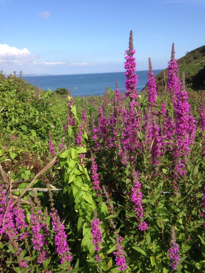 Kerryanna Country House Bed And Breakfast Mevagissey Luaran gambar