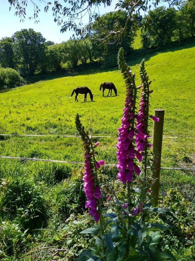 Kerryanna Country House Bed And Breakfast Mevagissey Luaran gambar