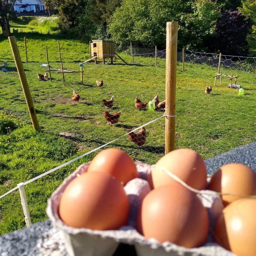 Kerryanna Country House Bed And Breakfast Mevagissey Luaran gambar